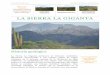 Sierra La Giganta6 DE JUNIO DE 2016 IMAGEN MUSICAL GEOGRÁFICA relación con la formación del Golfo de California. El basamento de la Sierra La Giganta se caracteriza por la presencia