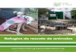 Refugios de rescate de animales - Greyhounds in Neededucation.greyhoundsinneed.co.uk/wp-content/uploads/2017/04/GIN... · Actividad 1: ¿Qué aspecto tiene un refugio? 3 ¿Adivinas