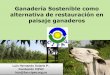 Ganadería Sostenible como alternativa de …elti.fesprojects.net/2014 Restauracion Valledupar/l...Cercas vivas y barreras rompevientos Más de 120 especies de árboles y arbustos