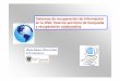 Sistemas de recuperación de información en la …sabus.usal.es/bib_virtual/doc/mariadolores_sist_rec.pdfEl Descubrimiento de información en la Web: Minería de textos (Text mining)