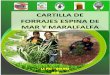 CARTILLA DE FORRAJES ESPINA DE MAR Y MARALFALFAagro.umsa.bo/wp-content/uploads/2019/03/Cartilla-espina... · 2019-03-13 · esencial en los alimentos constituido por cadenas de 