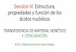 SECCION IV ESTRUCTURA, PROPIEDADES Y FUNCIÓN DE LOS … · Seccion IV. Estructura, propiedades y función de los ácidos nucleícos TRANSFERENCIA DE MATERIAL GENÉTICO I: CONJUGACIÓN
