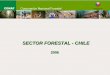 SECTOR FORESTAL - CHILE · 2014-07-10 · • Fomento Inversión - Industrialización Forestal • Transición de gestión del Estado a Privados Control de plagas e incendios forestales