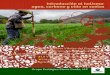 Introducción al holismo: agua, carbono y vida en suelosbosqueysuelo.com/.../2016/08/Manejo-Holistico-2016.pdf · 2016-08-04 · deseables. El manejo adecuado del pastizal favorece
