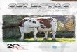 Publicación de Genética Selecta Normando NORMANDO_Enero 2019.pdf · Toro de pedigree 100% probado y de máxima confiabilidad. El favorito de los mejores ganaderos en Francia. Posee