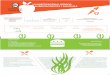 LA INVESTIGACIÓN AL SERVICIO DE LA ALIMENTACIÓN RICA Y … · 2018-02-05 · El proyecto mejoró la consistencia, resistencia a la cocción y ˜rmeza de la hamburguesa de algas