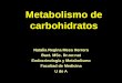 Metabolismo de carbohidratosmedicina.udea.edu.co/emd/metabolismo/carbohidratos/COH-1-2010-2.pdfEndocrinología y Metabolismo Facultad de Medicina U de A. Contenido 1. Glucólisis 2