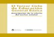 El tercer ciclo de la Educaci n General B sica. …orientadoras para la realización de las experiencias del tercer ciclo de la Educación General Básica, lo propuesto en el Documento