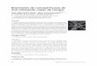 Biosíntesis de nanopartículas de ZnS utilizando cepas de ...eprints.uanl.mx/10358/1/37_Biosintesis.pdf · nanopartículas de CdS a partir de la reducción del sulfato de cadmio