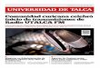 CONVERSEMOS EN UNIVERSIDAD DE TALCA AÑO IX | NÚMERO 578 SEMANA DEL 25 AL 31 DE ...comunicaciones.utalca.cl/semanario/semanario/semanario... · 2017-12-26 · UNIVERSIDAD DE TALCA