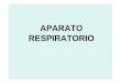APARATO RESPIRATORIOcpu.usmp.edu.pe/intranetcpu/ppt05/5-Lima-Zerillo-Anatomia-Respirat… · superior del tórax. En todo su trayecto esta situada delante del esófago .y termina