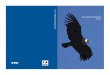 Aves silvestres de Mendoza - Fundación YPF · 2017-10-10 · Aves silvestres de Mendoza 11 desérticas que abarca la superficie plana de Mendoza y llega a trepar las serranías cercanas