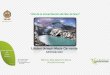 Presentación de PowerPoint190.41.20.115/transparencia/audiencia/2015/12.pdfredes de distribucion ( agua y desague) ... planta de tratamiento agua. limpieza del reservorio de cajamarquilla