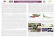 Biodiversidad de Michoacán: segundo estudio de …...Biodiversidad en Michoacán: Estudio de Estado” publicada en 2005. La sección de Biodiversidad presenta 36 capítulos, 59 estudios