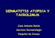 DERMATITIS ATOPICA Y TACROLIMUS · 2004-01-28 · DERMATITIS ATOPICA • Enfermedad inflamatoria . crónica. que cursa en brotes y se caracteriza por lesiones de eczema, xerosis,