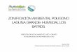 ZONIFICACIÓN AMBIENTAL POLIGONO LAGUNA GRANDE- …sanpedrodelapaz.cl/wp-content/uploads/2015/08/medio4.pdf · 2017-10-12 · flora o fauna o fenómenos naturales que merecen protección