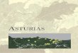 REGISTROS PALEOBOTÁNICOS DE ASTURIASlagos de Covadonga (enol y ercina). Se trata de una forma ce - rrada de origen tectónico asimilable a un poljé (Farias et al. 1990, 1996), y