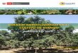 BOLETÍNAGROCLIMÁTICO EN EL CULTIVO DE MANGO · El presente boletín agroclimático en el cultivo de mango constituye un producto técnico en el marco del Convenio Específico Interinstitucional