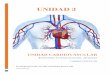 UNIDAD 3 · El sistema circulatorio protege contra pérdida de sangre por lesión y contra agentes patógenos, entre ellos microbios y toxinas extraños introducidos en el cuerpo