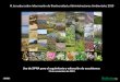 XI Jornadas sobre Información de Biodiversidad y ......unas reglas de BÁSICAS de compatibilidad implementadas en la aplicación En implementación fotointerpretar en LPEHT La 'nube