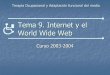 Tema 9. Internet y el World Wide Web · 2017-03-21 · BLOQUE IV. ACCESIBILIDAD A LAS TECNOLOGÍAS . DE LA INFORMACIÓN Y LAS COMUNICACIONES Tema 9. Internet y el Word Wide Web Tema