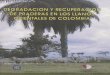 bibliotecadigital.agronet.gov.cobibliotecadigital.agronet.gov.co/bitstream/11348/6687/1/200671816… · Degradar.ión y recuperación de praderas en Ios Llanos Orientales de Colombia