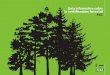 Guía informativa sobre la certificación forestal FSCistas.net/descargas/FSC.pdf · 2018-10-04 · Guía informativa sobre 3 la certificación forestal FSC Los años que siguieron