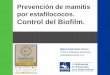 Prevención de mamitis por estafilococos. Control del Biofilm€¦ · 2. Biofilm como mecanismo de defensa Constituyentes del biofilm en S. aureus y S.epidermidis: •Poly-N-acetyl