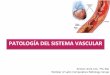 PATOLOGÍADELSISTEMAVASCULARhistolab.com.co/images/2017/cardiovascular/10.-Vascular.pdf · Arterioloesclerosis(Degeneraciónhialina Necrosis(ﬁbrinoide Amiloidosis(Calciﬁcaciónmedia