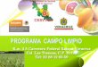ANTECEDENTESconadesuca.gob.mx/foro Veracruz/CAMPO LIMPIO VERACRUZ 11.pdf · 2011-03-01 · Establecer un programa de eliminación de los envases vacíos de plaguicidas en las zonas