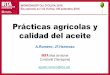 Prácticas agrícolas y calidad del aceite - Universitat …...Factores que afectan la producción de aceituna y la calidad del aceite Variedad Medio agrológico Clima y suelo Grados