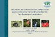 Iniciativa de colaboración OIMT/CDB para conservar la ...€¦ · Estratégico para la Diversidad Biológica 2011-2020 y el Plan de Acción de la OIMT. Iniciativa de colaboración