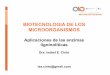 BIOTECNOLOGIA DE LOS MICROORGANISMOSbiotecnologiaindustrial.fcen.uba.ar/wp-content/uploads/...BIOTECNOLOGIA DE LOS MICROORGANISMOS Aplicaciones de las enzimas ligninolíticas Dra