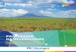 Índice - PRONicaraguapronicaragua.gob.ni/.../22/panorama-de-inversiones.pdf · PRONicaragua es la agencia oficial de promoción de inversiones del Gobierno de Nicaragua, funciona