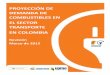PROYECCIÓN DE DEMANDA DE COMBUSTIBLES EN EL SECTOR TRANSPORTE EN … · 2015-05-14 · Proyección de Demanda de Combustibles en el Sector Transporte en Colombia Revisión marzo