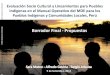 Borrador Final - Propuestasdocuments.worldbank.org/curated/pt/389951468288063059/... · 2016-07-12 · Evaluación Socio Cultural y Lineamientos para Pueblos Indígenas en el Manual