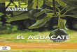 EL AGUACATE - COLPOS · 2016-02-16 · 3 6 12 20 27 44 36 38 caracterizaciÓn social y tÉcnica del cultivo de la piÑa criolla (ananas comosus (l)merr.) biofertilizantes a base de