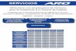 SERVICIOSarowebsite.com/wp-content/uploads/2017/10/Servicios-ARO... · 2017-10-19 · Descripción de los Servicios Puesta en marcha, capacitación y entrenamiento Se efectúa en