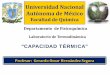 Universidad Nacional Autónoma de Méxicodepa.fquim.unam.mx/amyd/archivero/CAPACIDAD_TERMICA... · 2015-05-06 · Que el alumno comprenda los conceptos de: capacidad térmica capacidad