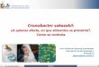 Cronobacter sakazakii - INOFOOD · 2017-11-15 · 23 de octubre de 2017 INOFOOD Contaminación de alimentos por Cronobacter spp. Laboratorio Microbiología y Probióticos INTA, U