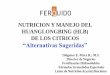 NUTRICION Y MANEJO DEL HUANGLONGBING (HLB) DE LOS CITRICOS “Alternativas …cedaf.org.do/huanglongbing/seminarios/nutricion_manejo/A... · 2016-07-06 · NUTRICION Y MANEJO DEL