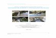 PONENCIA GUIADO DE PECES V1MAR10 - Alnus 2005 · 2016-03-09 · y de regulación de la pesca en aguas continentales. Artículo 12. Escalas, pasos y rejillas. 1. Los titulares o concesionarios