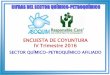 ENCUESTA DE COYUNTURA IV Trimestre 2016 - Asoquimasoquim.com/v2018/wp-content/uploads/2018/06/EC2016-IV.pdf · 2018-06-14 · asociaciÓn venezolana de la industria quÍmica y petroquÍmica