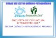 ENCUESTA DE COYUNTURA III TRIMESTRE 2017asoquim.com/v2018/wp-content/uploads/2018/05/EC2017-III.pdf · 2018-05-30 · asociaciÓn venezolana de la industria quÍmica y petroquÍmica