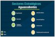 Sectores Estratégicos - Ahome...Jalisco Clave Futuro Electrónicos Productos químicos Agroindustrial (Gourmet) Productos para la construcción Servicios Turísticos Servicios logísticos