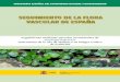 Seguimiento de la flora vascular de españa. Seguimiento … · 2016-04-13 · permanentes de Naufraga balearica, endemismo de la isla de Mallorca en Peligro Crítico de Extinción