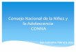 Consejo Nacional de la Niñez y la Adolescencia · PDF file 2012-02-15 · Sistema Nacional de Protección Integral de la Niñez y de la Adolescencia, habiéndose extendió el plazo