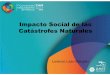 Impacto Social de las Catástrofes Naturales · 2019-09-06 · de los Desastres Efectos en la población Propiedad DAÑO DIRECTO DAÑO INDIRECTO Efectos en la población Abasto (Bienes