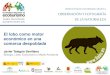 Presentación de PowerPoint · 2020-01-03 · El lobo vivo como motor de desarrollo rural en la Sierra de la Culebra (2012) El 46 % de la ocupación es atribuible al EFECTO DEL LOBO
