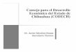 Consejo para el Desarrollo Económico del Estado de ...€¦ · • Promover la participación del sector empresarial y sociedad civil chihuahuense en los programas de fomento económico